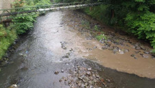 Samples taken from the river found traces of oil at least three miles downstream and more than 40 dead fish were found